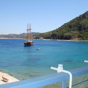 Avlakia Studios